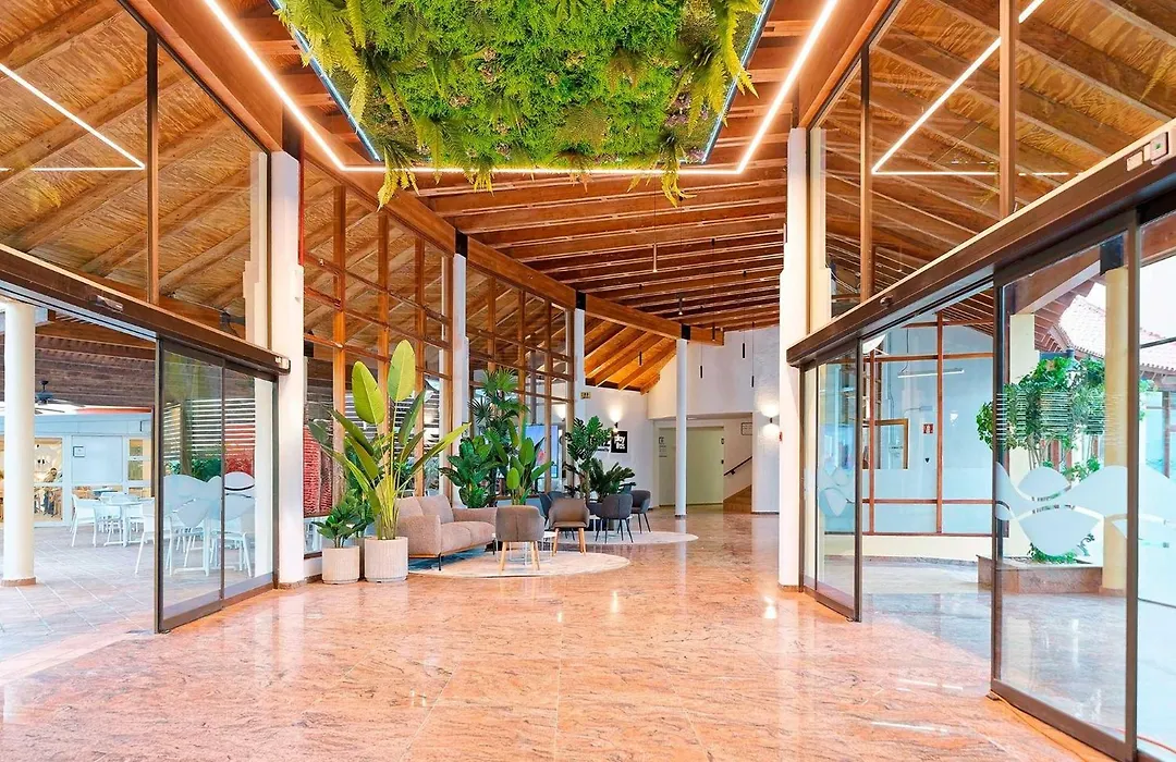 Sport Hotel Monte Feliz - Powered By Playitas-1