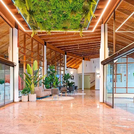 Sport Hotel Monte Feliz - Powered By Playitas-2